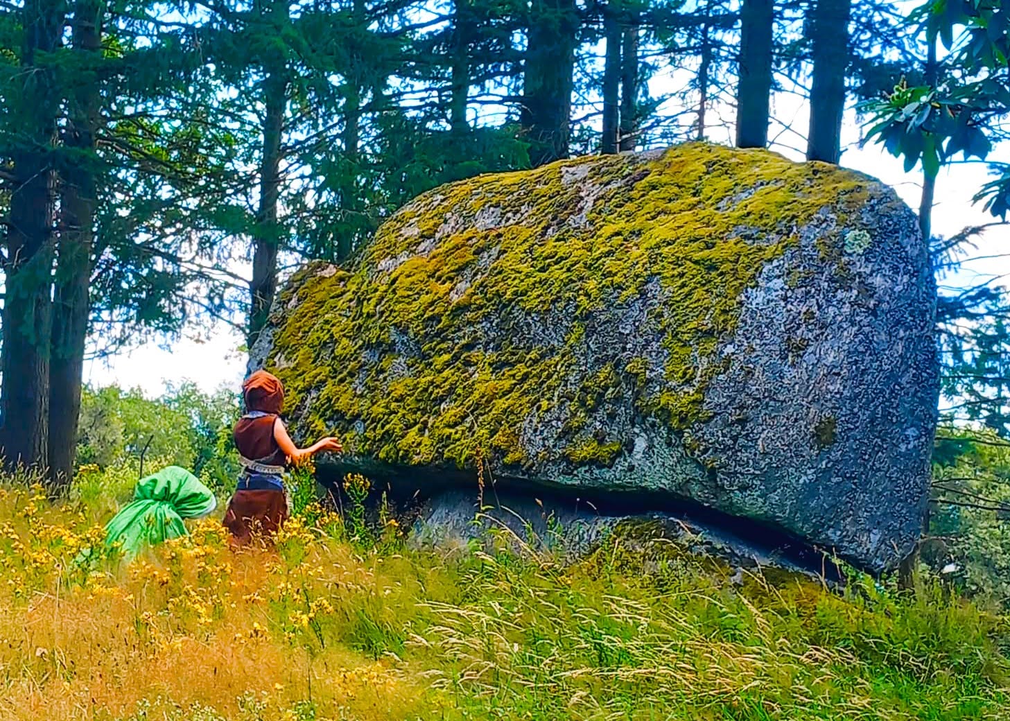 Jeune aventurier explorant le rocher moussu de Valéria